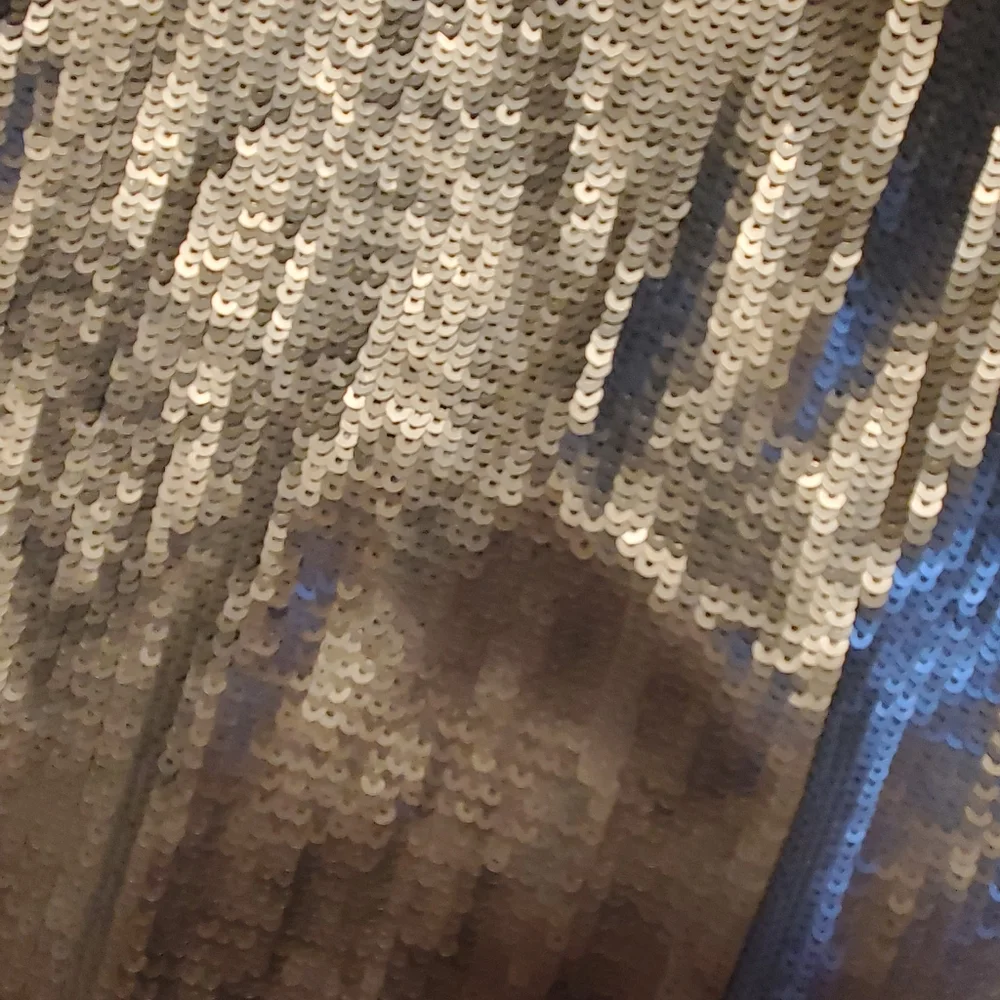 NWT silver sequin skirt - Picture 3 of 4